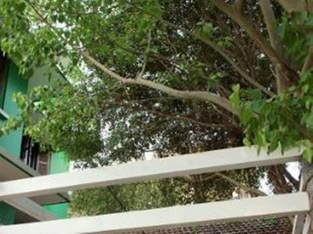 הואה Thien Phu Hotel מראה חיצוני תמונה